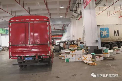 風雨同舟，共抗疫情——三科農商城為重慶抗疫加油，與大家共渡難關